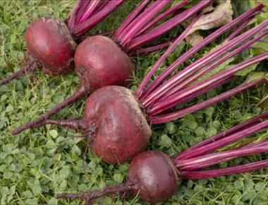 Παντζάρια:Το φυτό που αυξάνει φυσικά την... αντοχή των αντρών